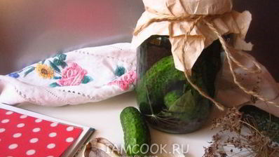 огурцы квашеные с водкой