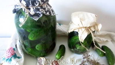 огурцы квашеные с водкой