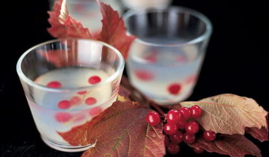 Рецепт желе с водкой и ягодами