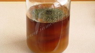 домашний квас из ржаного хлеба