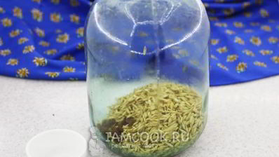 квас из овса