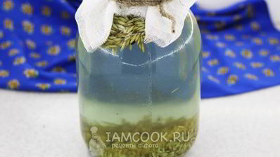 квас из овса