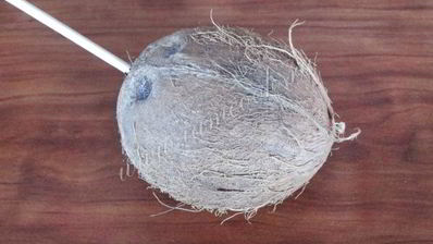 ликер кокосовый