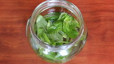 мятный ликер