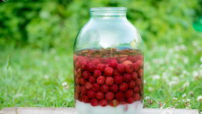 вишневый ликер на вишне с косточками