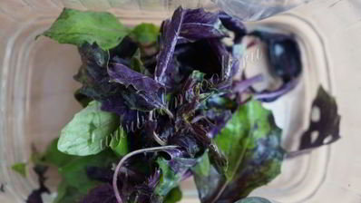 базиликовый лимонад