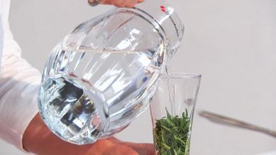 домашний лимонад с тархуном