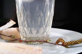 Лимонад из березового сока