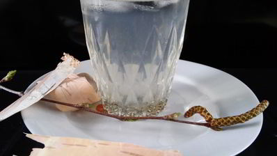 лимонад из березового сока