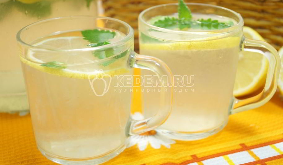 Рецепт лимонада из лимонов с мятой
