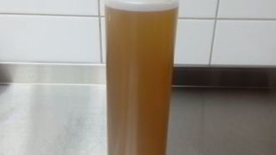 лимонад из тархуна и облепихи