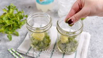 мохито из крыжовника