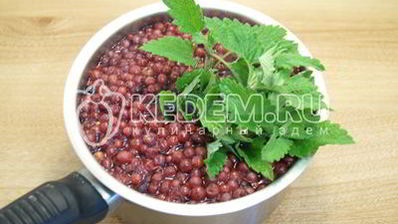 брусничный морс с мятой