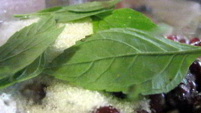 брусничный морс