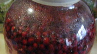 брусничный морс