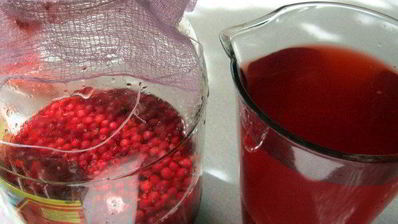 брусничный морс