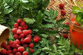 Малиновый морс