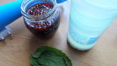 мятный напиток на сыворотке