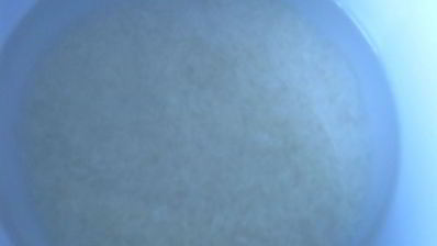 рисовый напиток с клубникой розовый жасмин