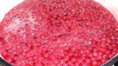 сироп из красной смородины