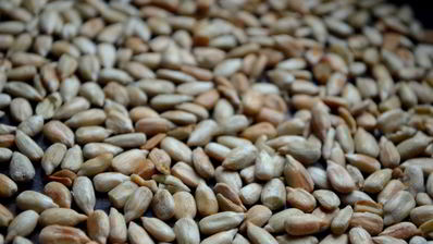 смузи с хурмой и грушей