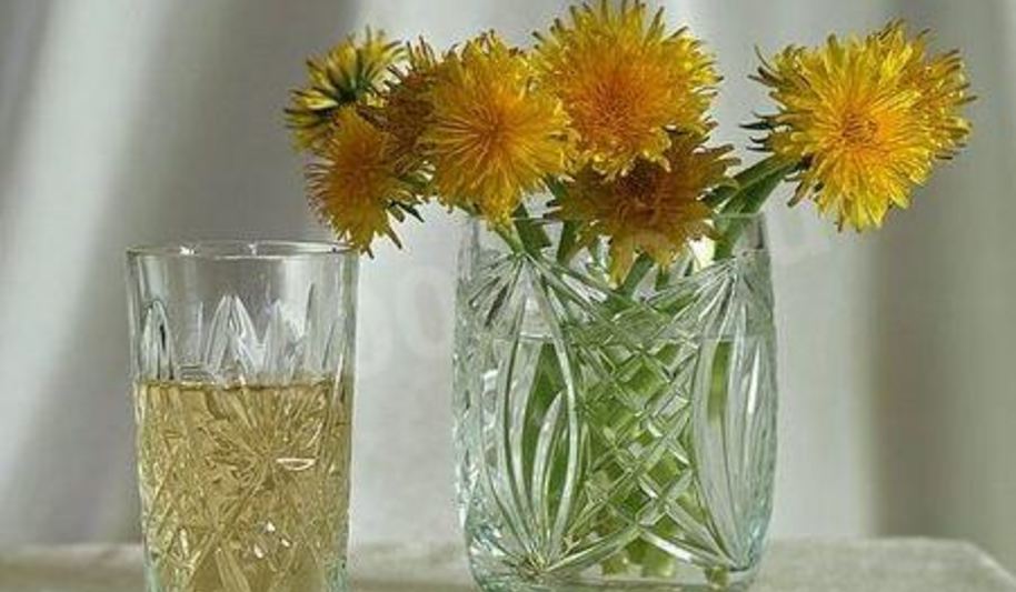 Рецепт вина из одуванчиков