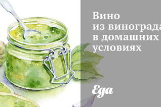 Вино из винограда