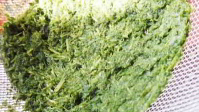 зеленый коктейль с лимоном