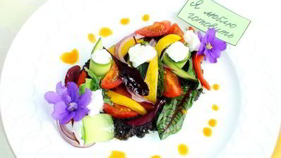 греческий салат в новом стиле с молодой зеленью