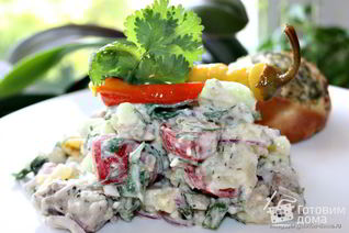 Картофельный салат с мясом гирос и дзадзики