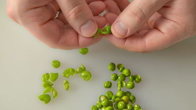 говяжий язык с оливье