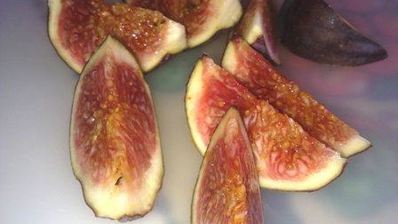 салат из рукколы и инжира