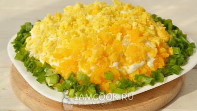 салат мимоза с сардиной