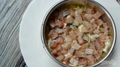 салат под шубой классический