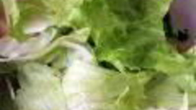 грибной взрыв — салат цезарь по-русски