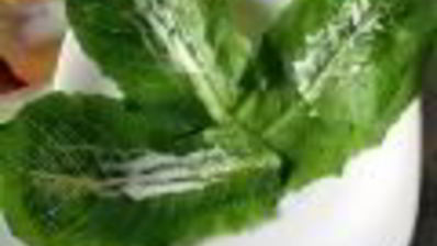 салат цезарь в минималистическом стиле