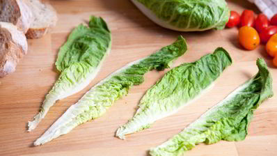 шашлык из куриной грудки под соусом цезарь