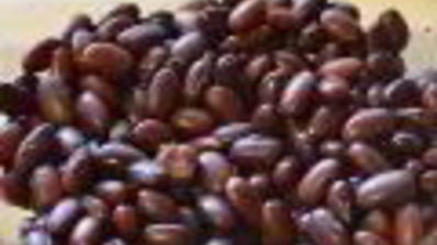 винегрет с красной фасолью и сельдью