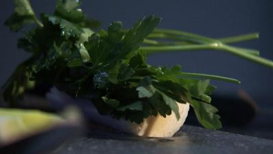 классический бешамель