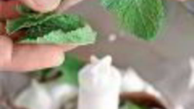 соус из йогурта с мятой и анчоусами