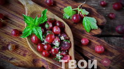 соус из крыжовника