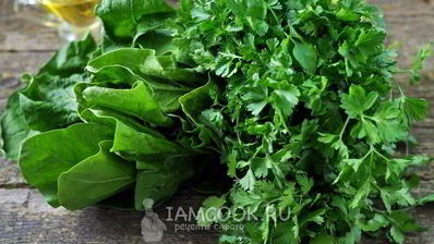 соус песто из первой зелени