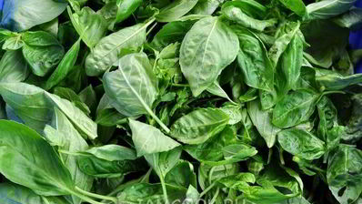 соус песто неклассический