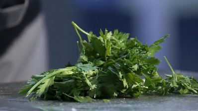 острая зеленая сальса