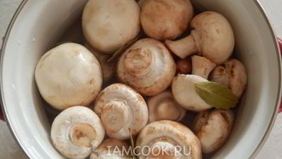 сациви с грибами