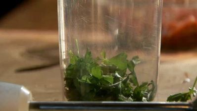 тартар из говядины с зеленой пастой