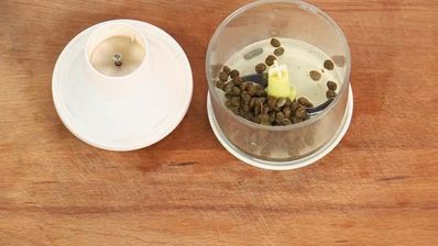 тартар из утки с персиками