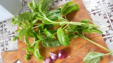 томатный соус с базиликом