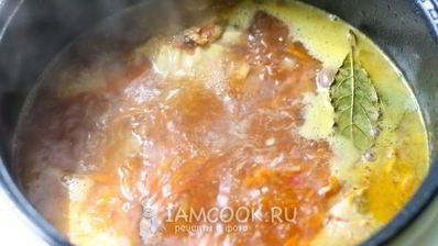 борщ с курицей в мультиварке