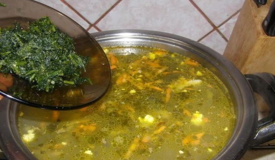 Рецепт борща со щавелем и яйцом